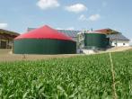 Biogazownia przy oborze